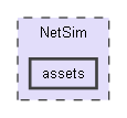 NetSim/assets